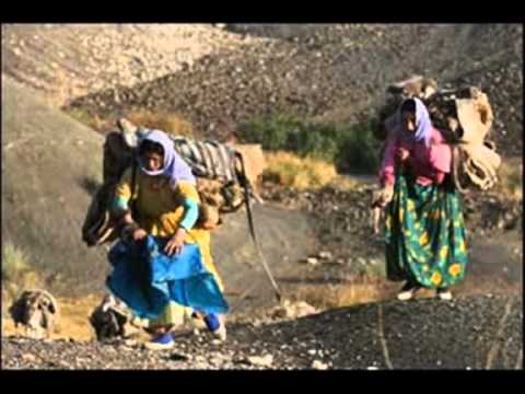 Jiyan Koca - Canda