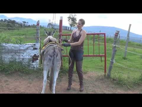 Joanna Hard Donkey riding. Cruel Riding. Cruel Donkey riding. Donkey riding. Cruel Horse Riding.