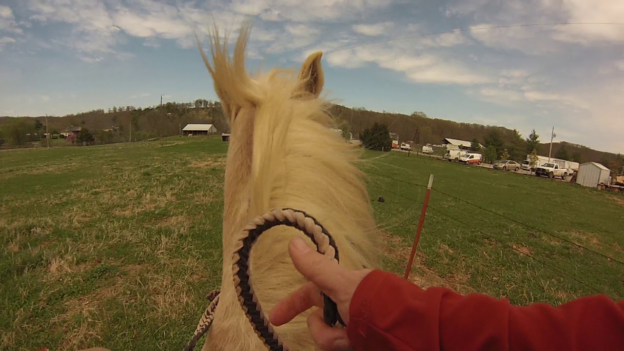 Joanne riding