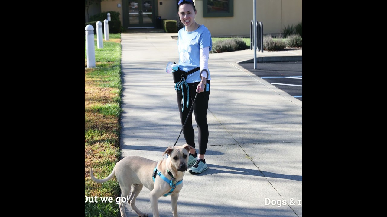 Jog a Dog 2025