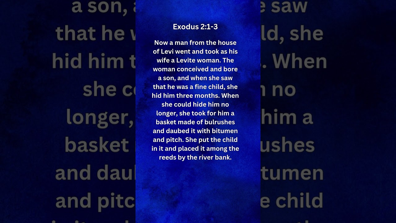 Journey of faith and spiritual growth | Exodus 2:1-3 Daily Bible Verse
