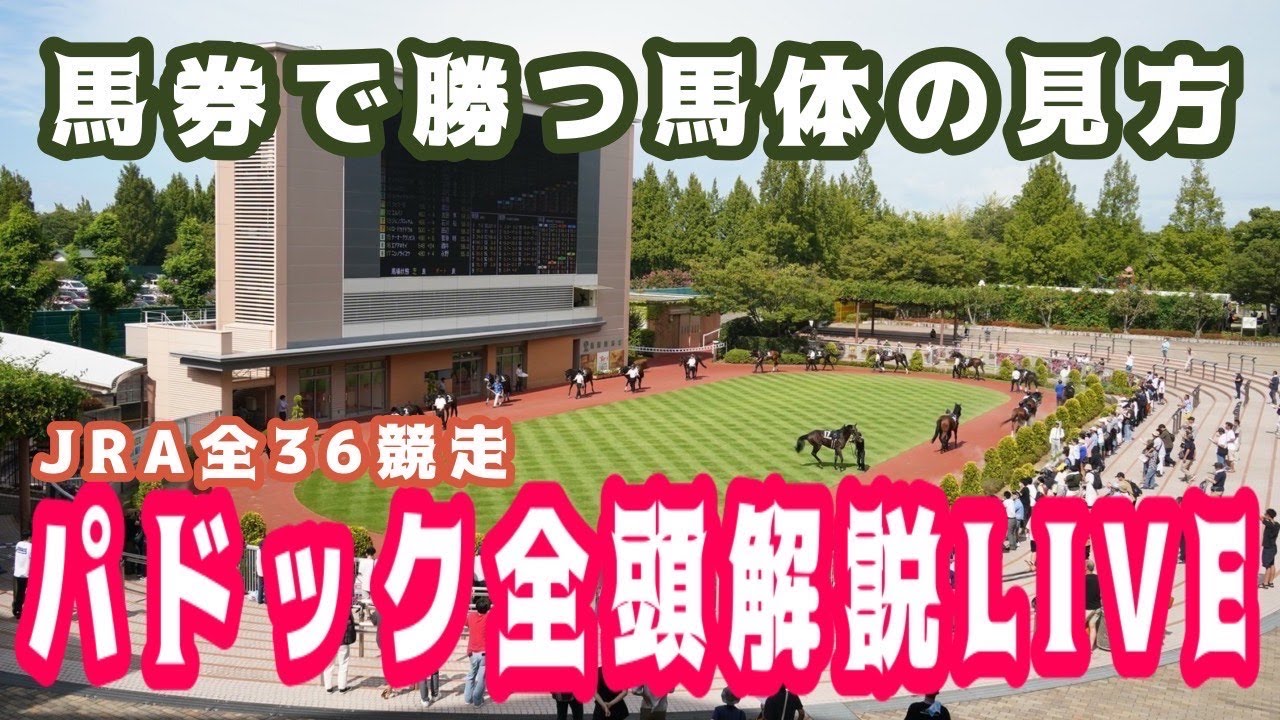 【JRAライブ】競馬記者が全レースのパドックを解説【日本ダービー】