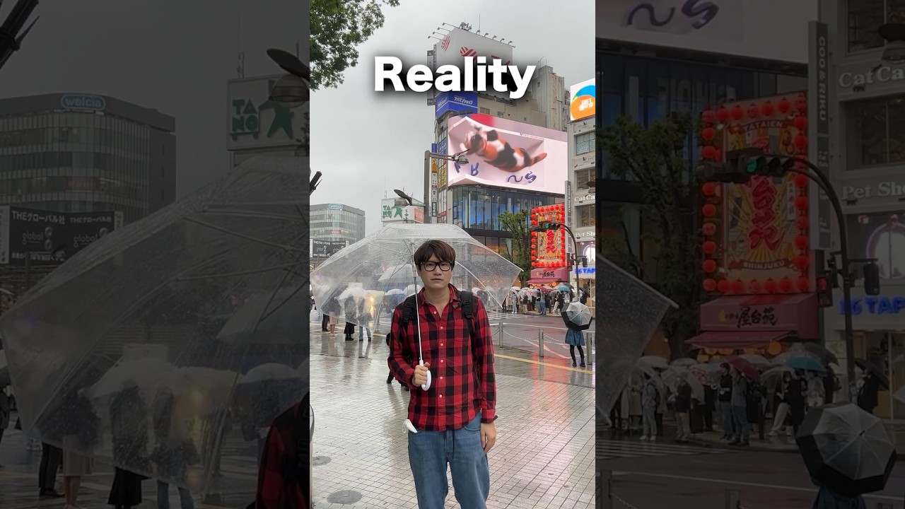 【kabukicho】INSTAGRAM VS REALITY in JAPAN  #kabukicho