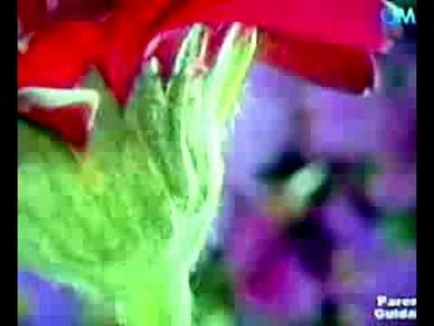 Kap Amazing video