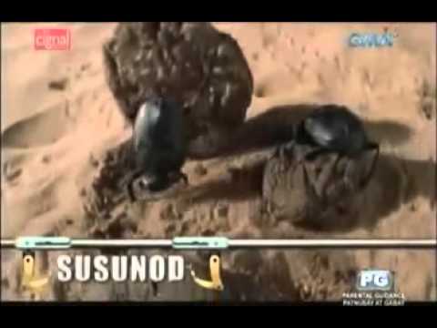 KAP'S Amazing Stories   JUNE 22, 2014 FULL Episode 2 2