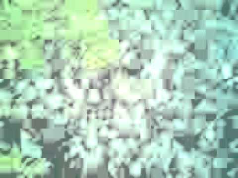 Kaps amazing video