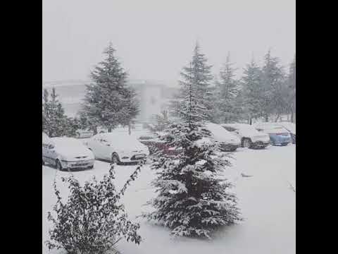 Kar ask mutlukluk