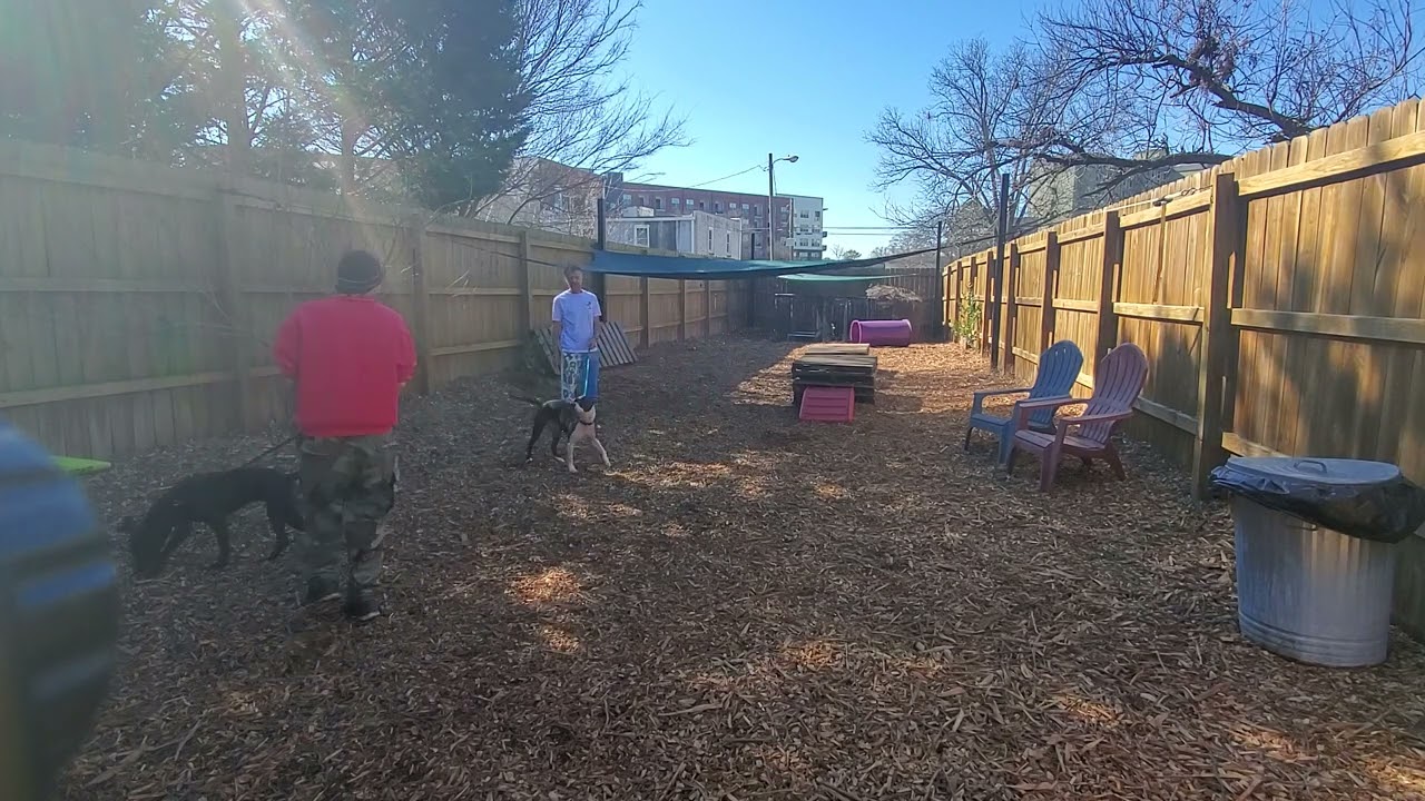 Kara Temp Test - Frogs to Dogs (3 of 3) 2/4/24