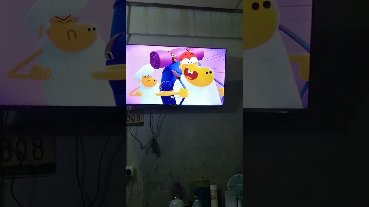 karate sheep opening