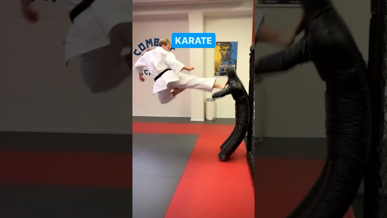 Karate vs. Ameridote 👊