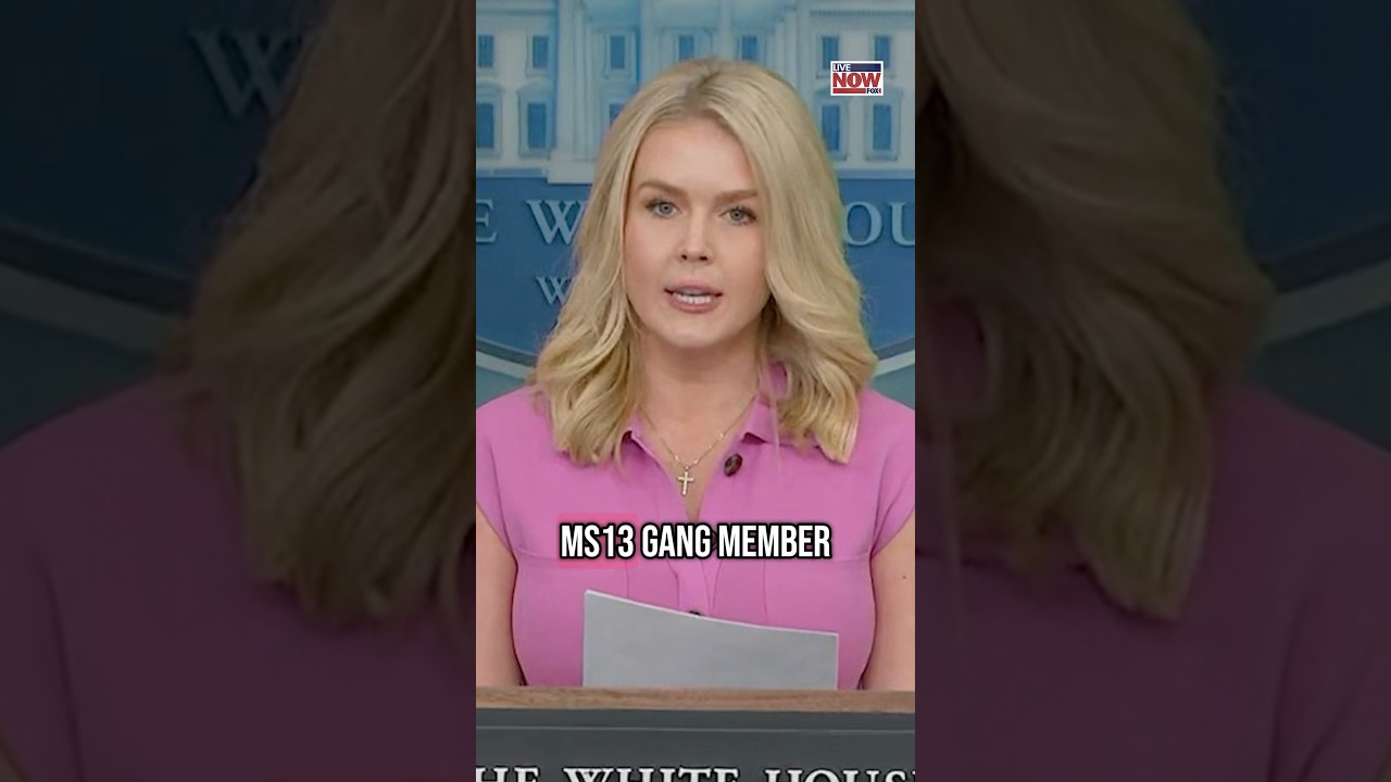 Karoline Leavitt calls Kilmar Abrego Garcia an 