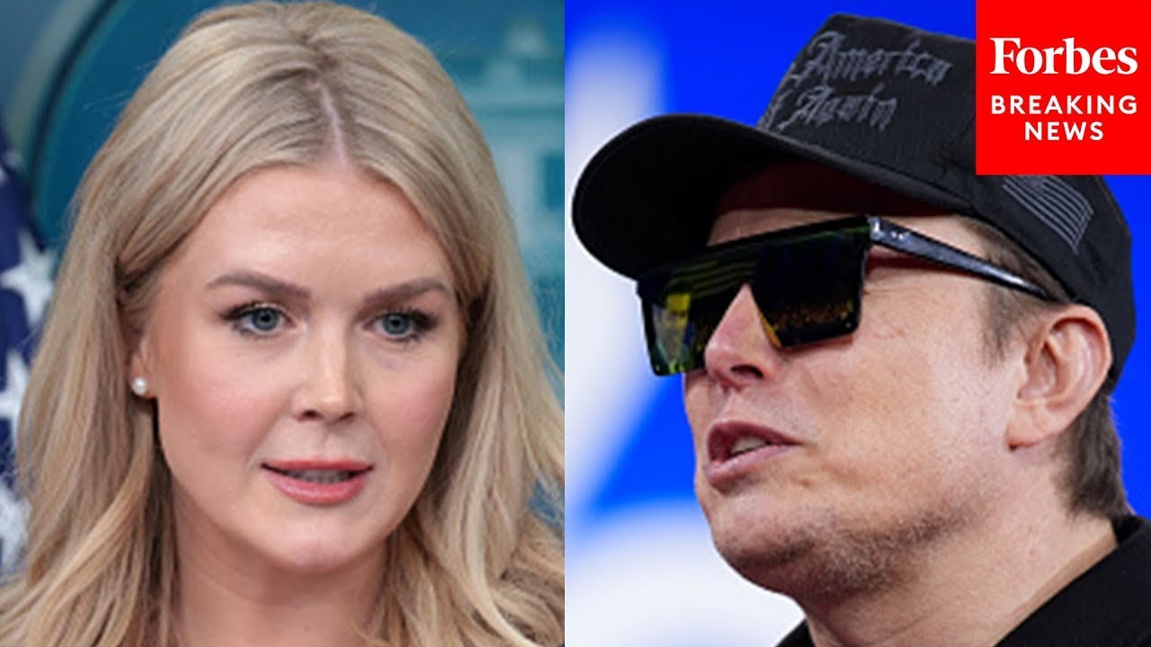 Karoline Leavitt Pressed For Details On DOGE's 'Incredible Discovery'