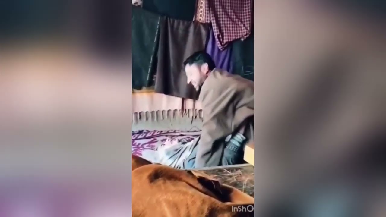 Kashmiri girl with tailor viral video || kashmiri girls viral vedio with guy || new vedio