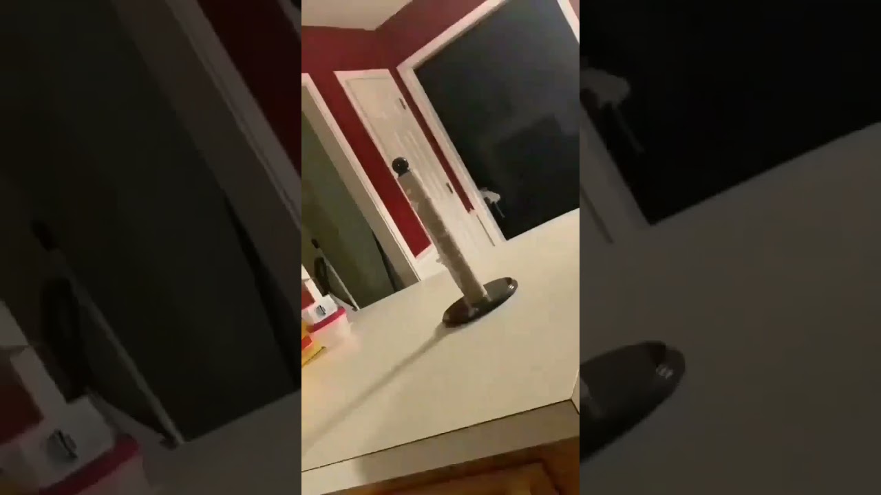 Kağıt Havlu İle Aslan Kükreme Sesi Çıkarma 🤯 #shorts