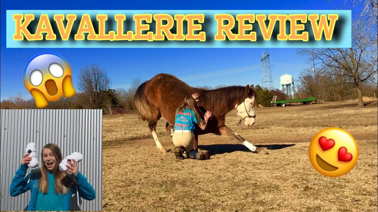 KAVALLERIE REVIEW!! | Tendon Boots review!