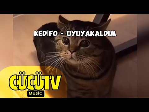 kedİFO - Uyuyakaldım (Official Video)