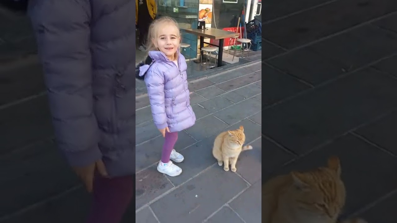kedi fena saldırdı !! #shorts #keşfet