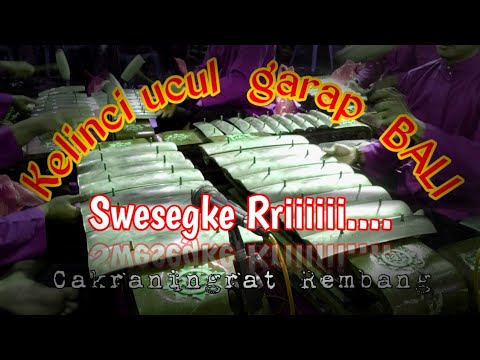 Kelinci Ucul Ki Narto Sabdha Garap Bali || aransemen by HAT Solo