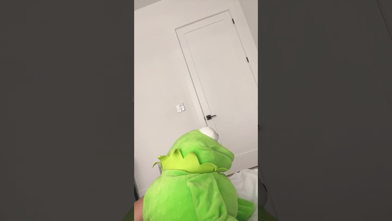 Kermit Light stare￼