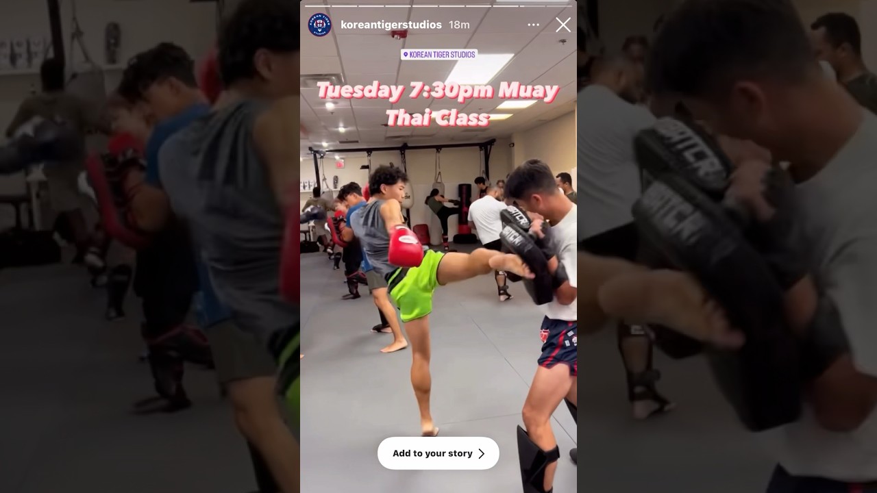 Kicking Pads #muaythai #kickboxing #martialarts