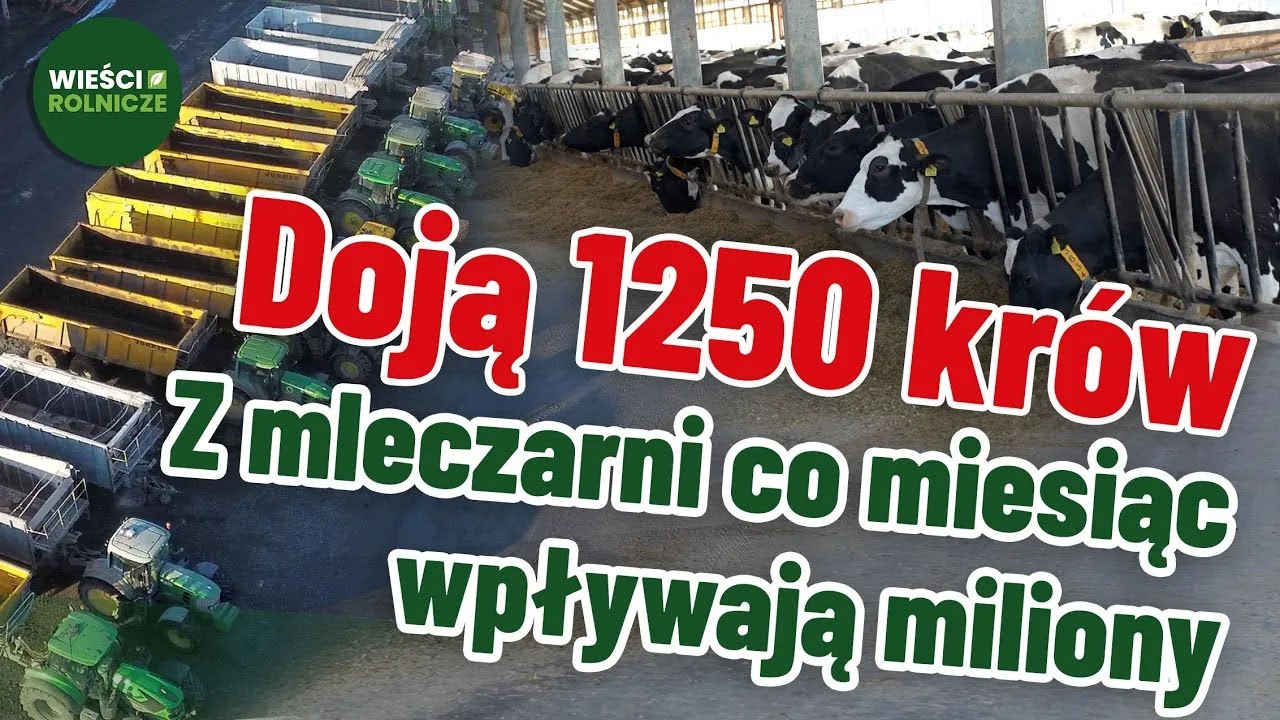 Kietrz odbiera co miesiąc miliony z mleczarni. Ile zarabiają tam pracownicy?