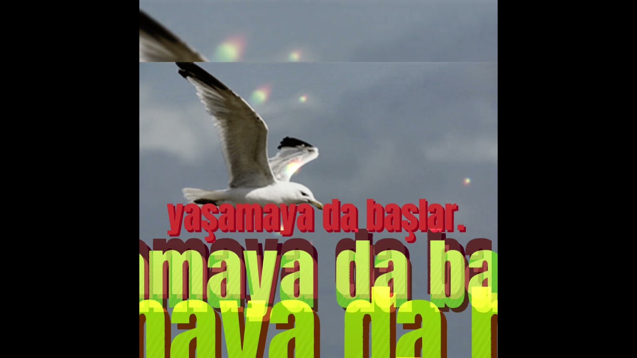 #KISA#WHATSAPP#DURUM#SÖZLERİ#Etkileyici#sözler2022Enyeni#Anlamlı#sözler#dini#Statuslar