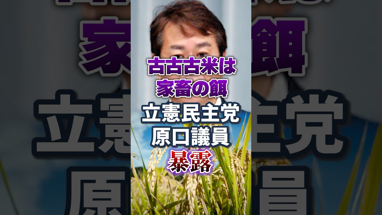 [Koizumi Rice | Haraguchi Kazuhiro] Stockpiled rice Chicken food [Rice price | Tamaki Yuichiro] J...