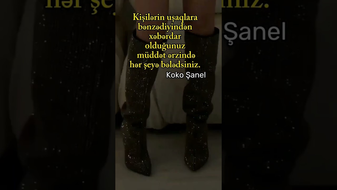Koko Şanelin kəlamı#meyxana#pervizbulbule#orxanlokbatanli#vüqarbileceri #azrep#paster#okaber#nefes