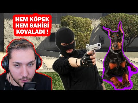 KOMŞUYU SOYARKEN KÖPEK KOVALADI ! THIEF SIMULATOR 2 (3. BÖLÜM)