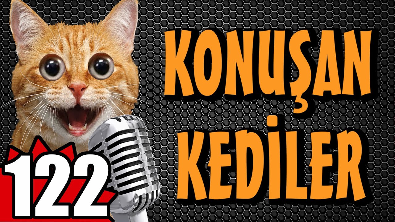 Konuşan Kediler 122 - En Komik Kedi Videoları