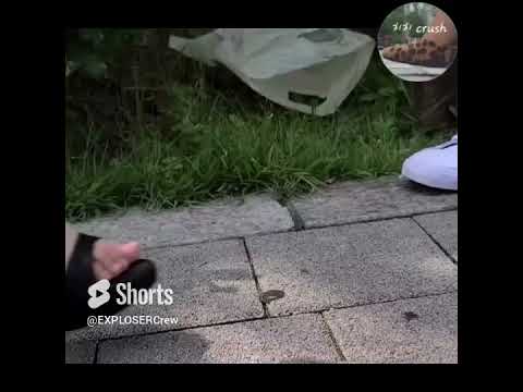 Korea Women  high heels Ant Crush Slow Motion