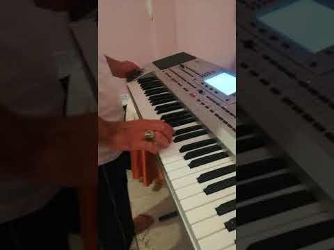 Korg pa80 ERİK DALI