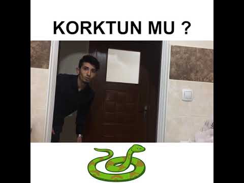 KORKTUN MU ? Simge Barankoğlu