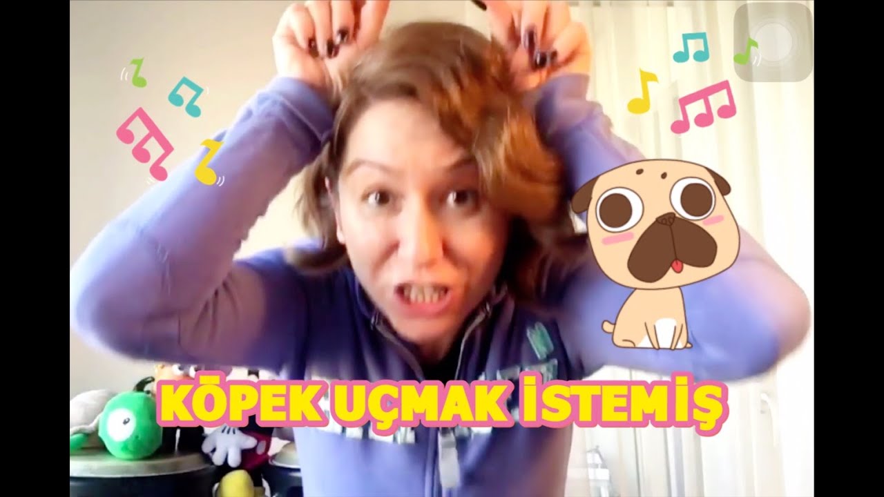 Köpek Uçmak İstemiş Çocuk Şarkısı | Anaokulu Şarkıları | Bebek Şarkıları | Children Songs