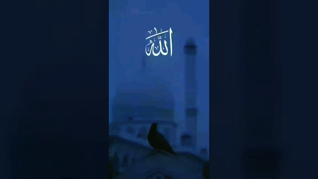 Şükür Allah sənə😊🤍                                            #shortvideo #shorts #haciramil