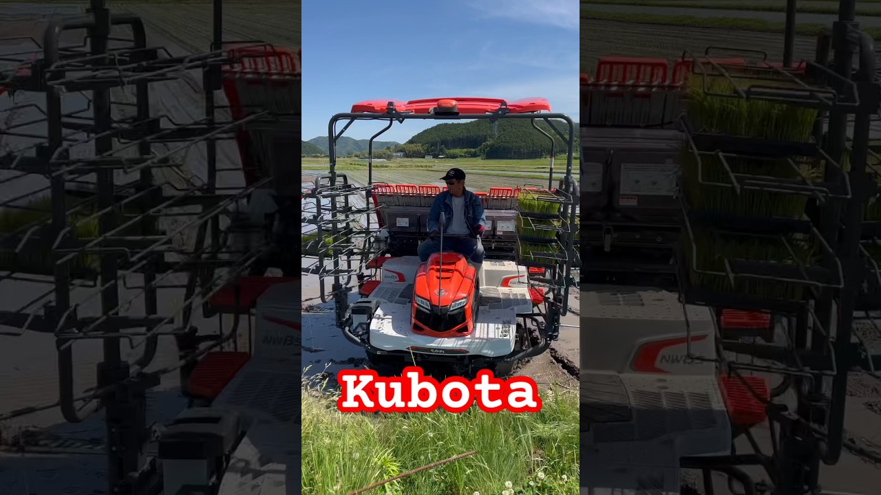 Kubota NW8S GS 田植え機　田植え作業
