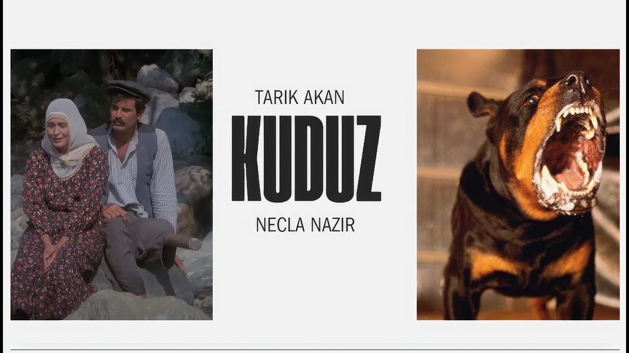Kuduz Türk Filmi | FULL HD | Tarık Akan | Necla Nazır
