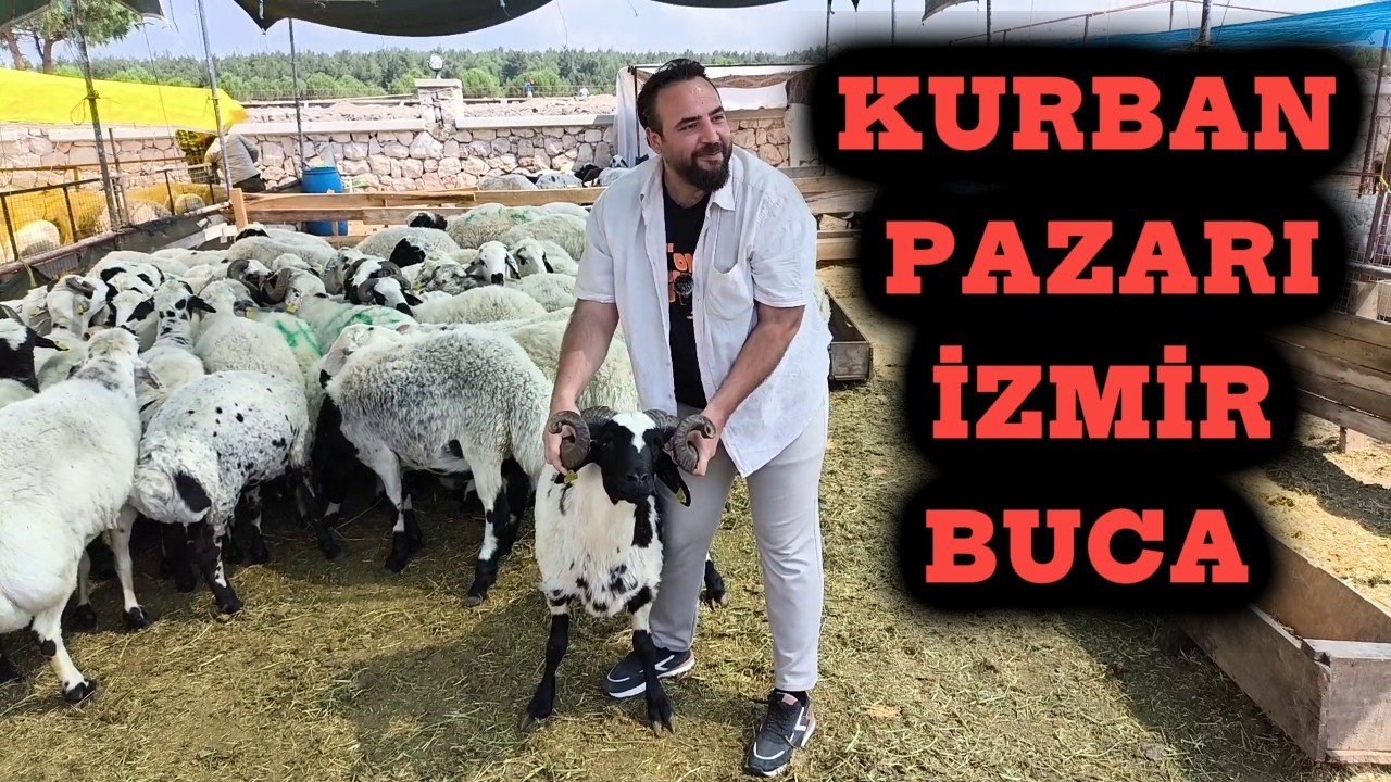 KURBAN PAZARI BUCA KAYNAKLAR  #171