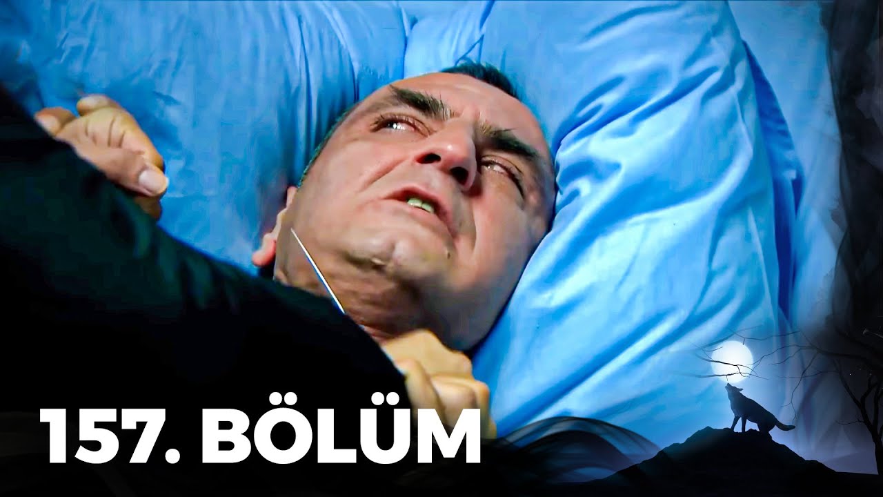 Kurtlar Vadisi Pusu - 157. Bölüm FULL HD