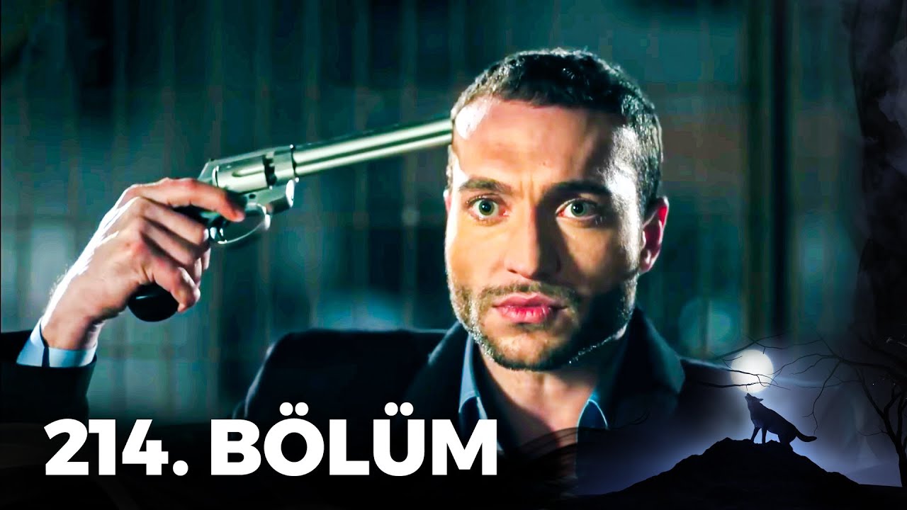 Kurtlar Vadisi Pusu - 214. Bölüm FULL HD