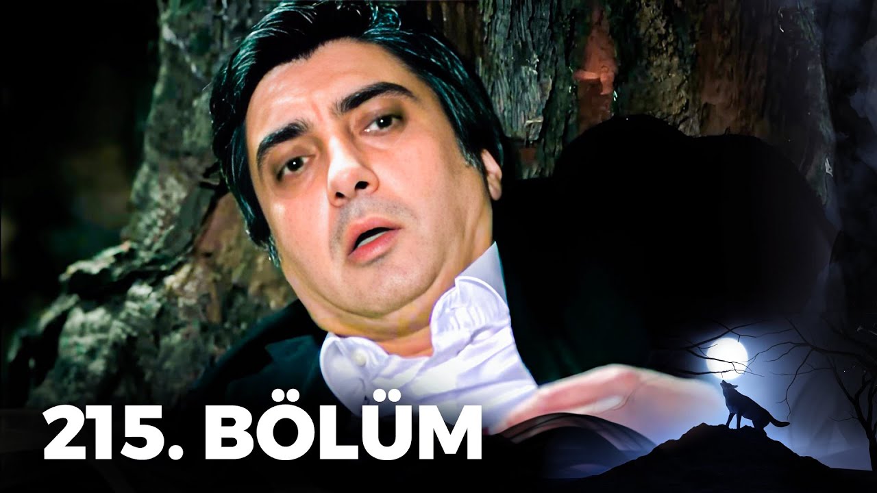 Kurtlar Vadisi Pusu - 215. Bölüm FULL HD