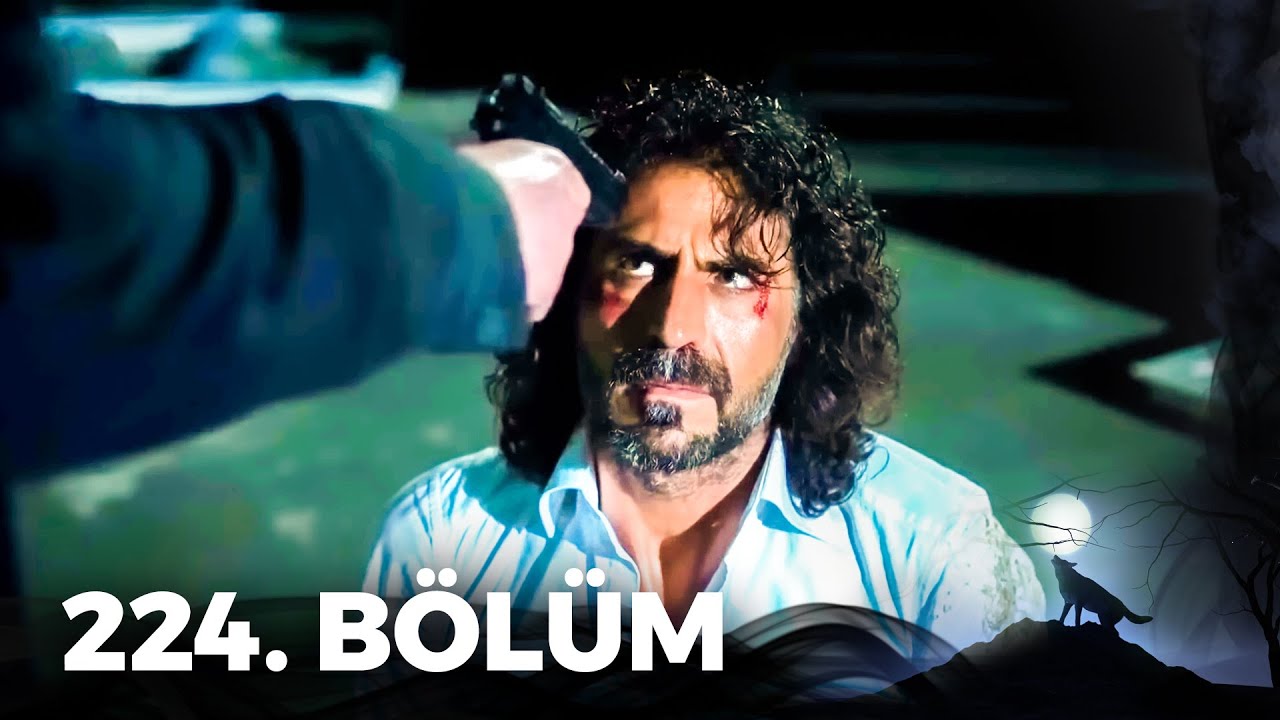 Kurtlar Vadisi Pusu - 224. Bölüm FULL HD