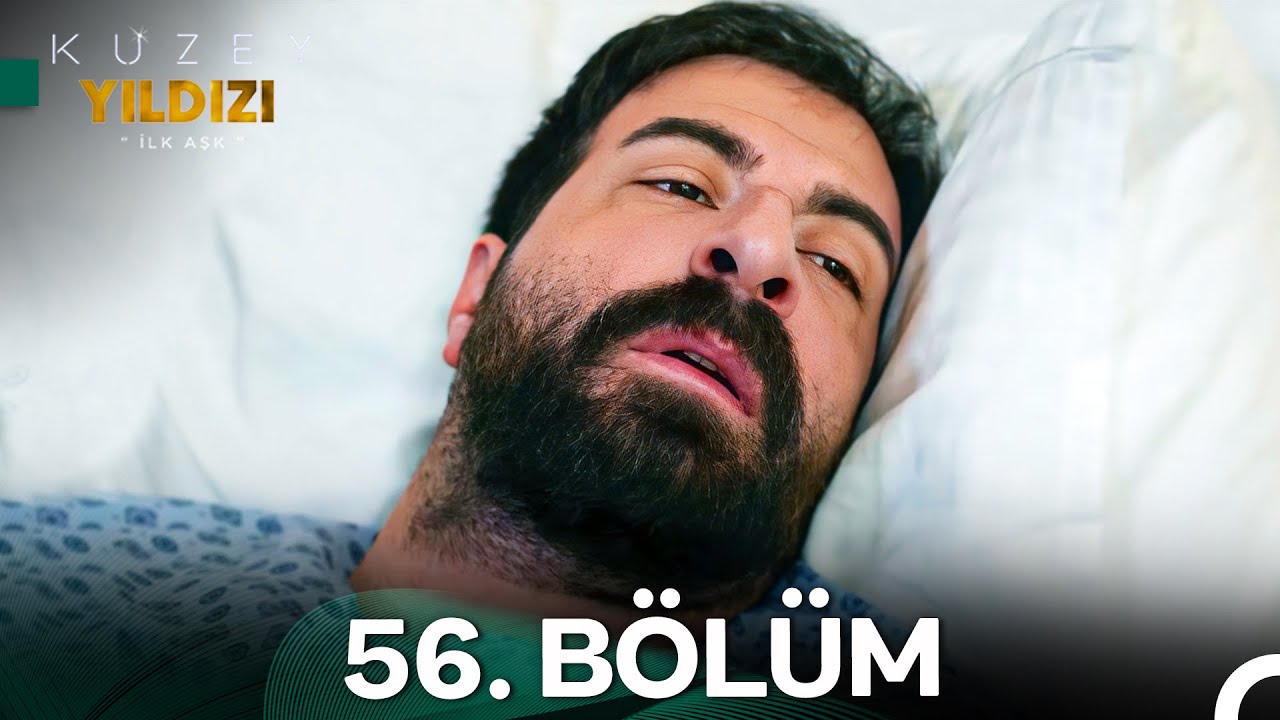 Kuzey Yıldızı İlk Aşk 56. Bölüm
