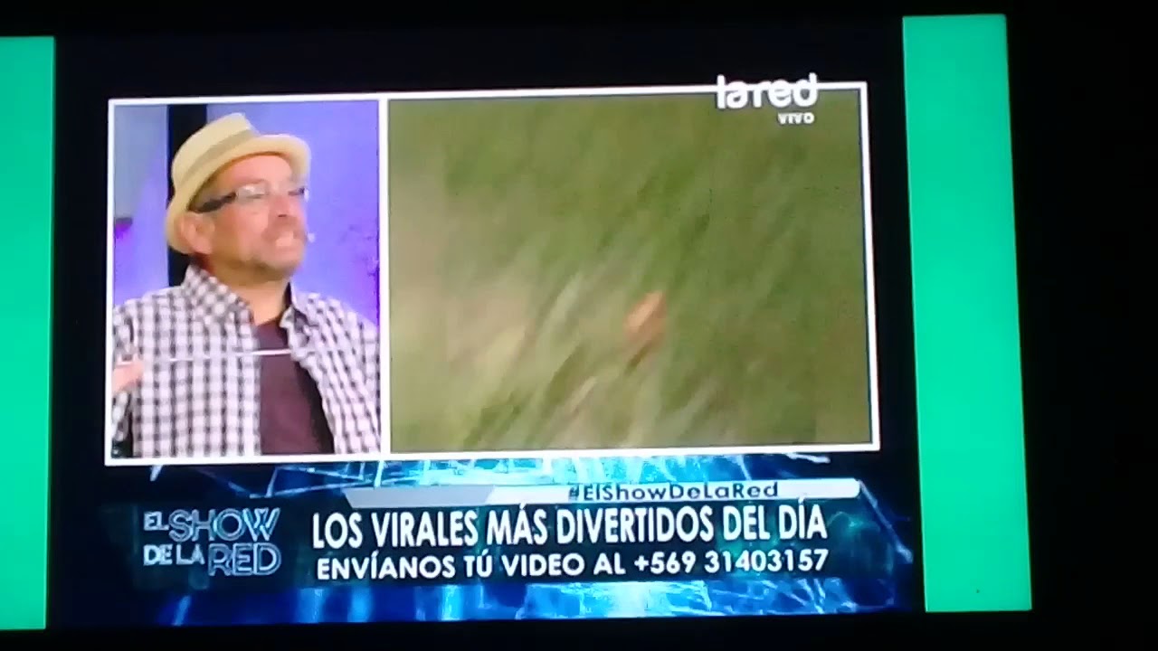 La  niña  puta