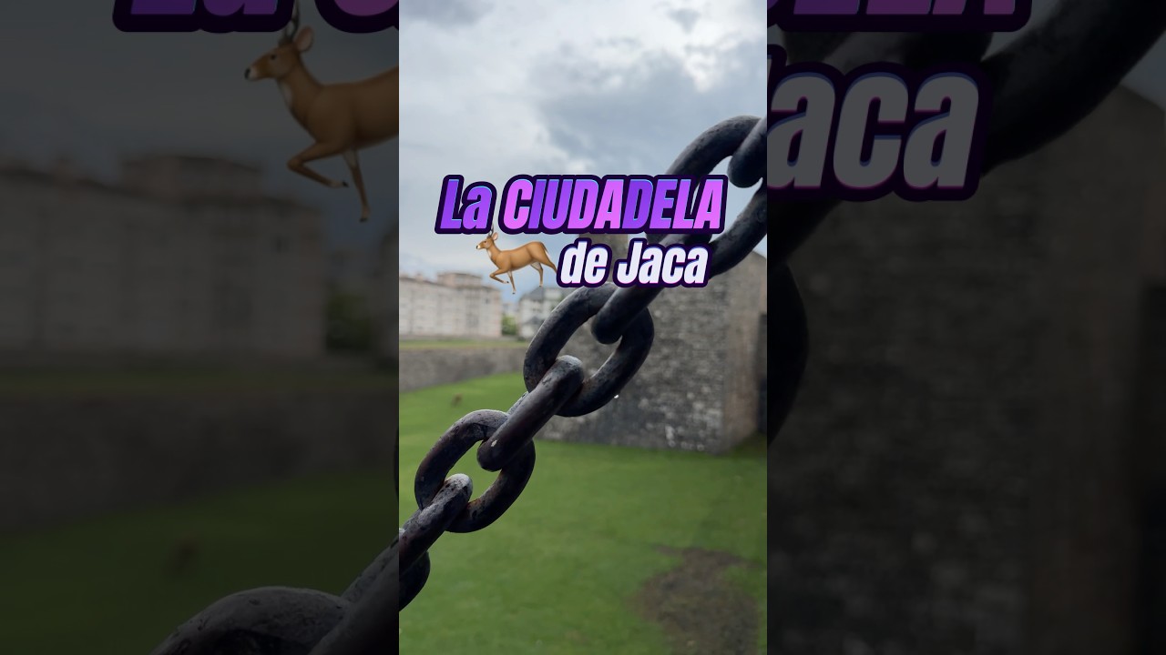 La Ciudadela de Jaca 🚍🦌