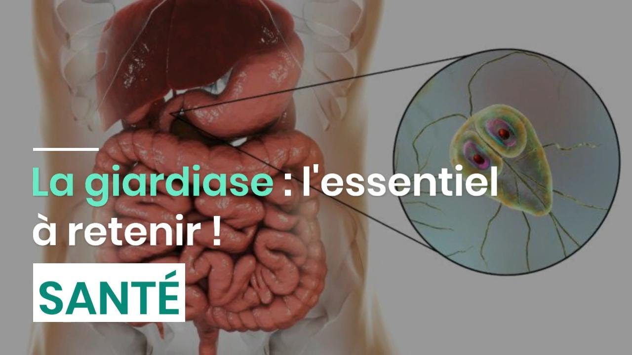 La giardiase : l'essentiel à retenir !