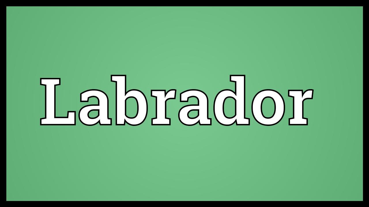 Labrador Meaning