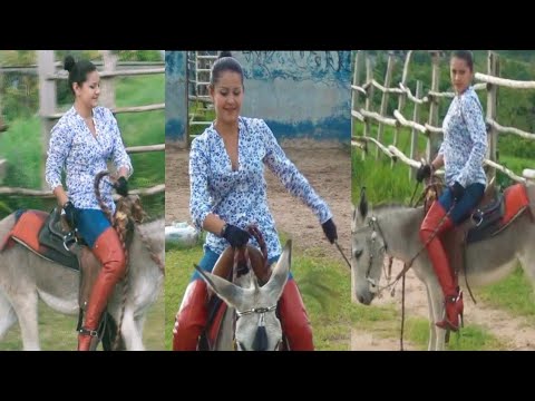 Lady's Donkey riding new video #viralvideo #highlights #donkey #horse #horseriding #pony #funny