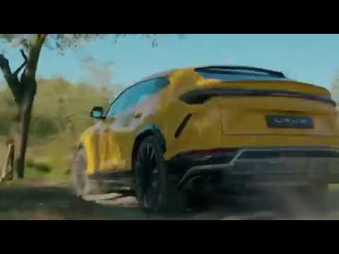 Lamborghini drive the forest road