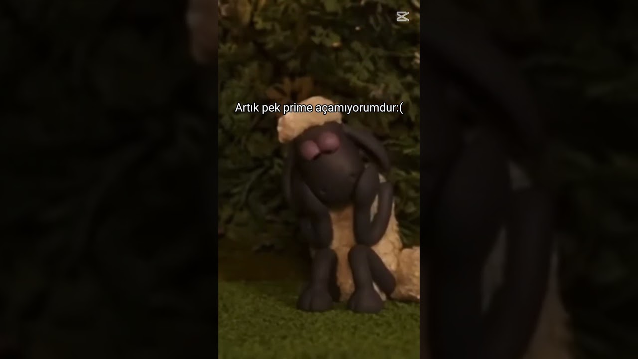 Lan oğlum vurma lan